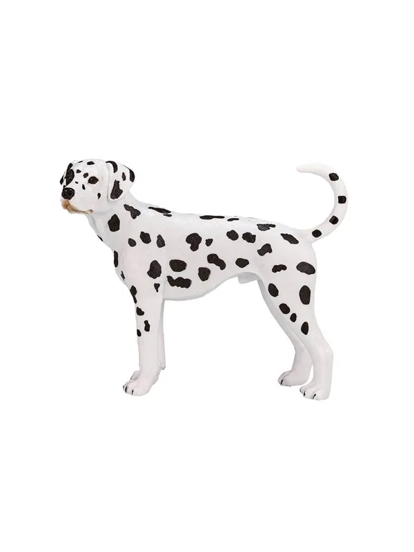 Mojo Farmland Dalmatian