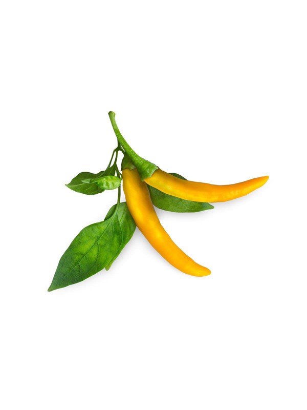 Click & Grow - Smart Garden Refill 3-pack Yellow Chili Pepper