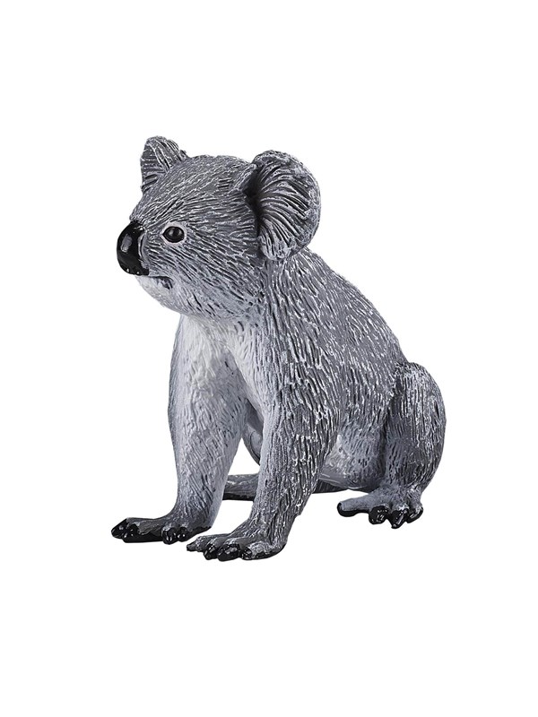 Mojo Wildlife Koala