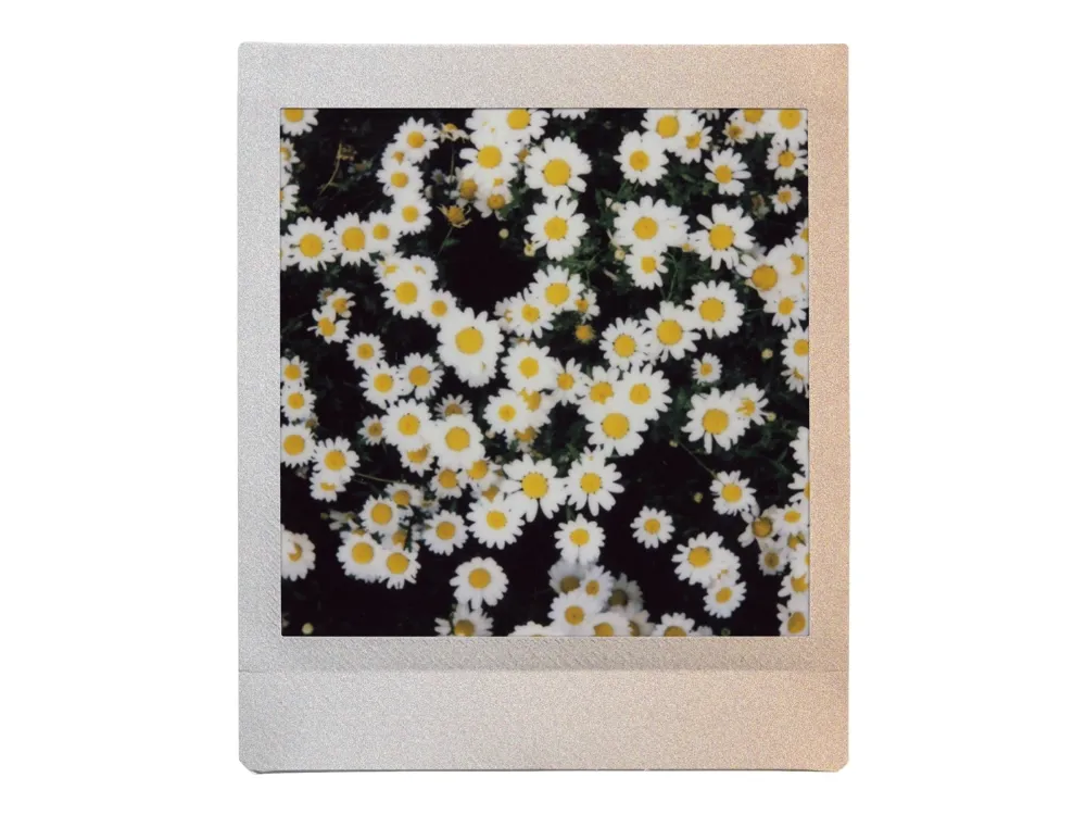 Fujifilm Instax Square Film - 10 Shots - Sunset