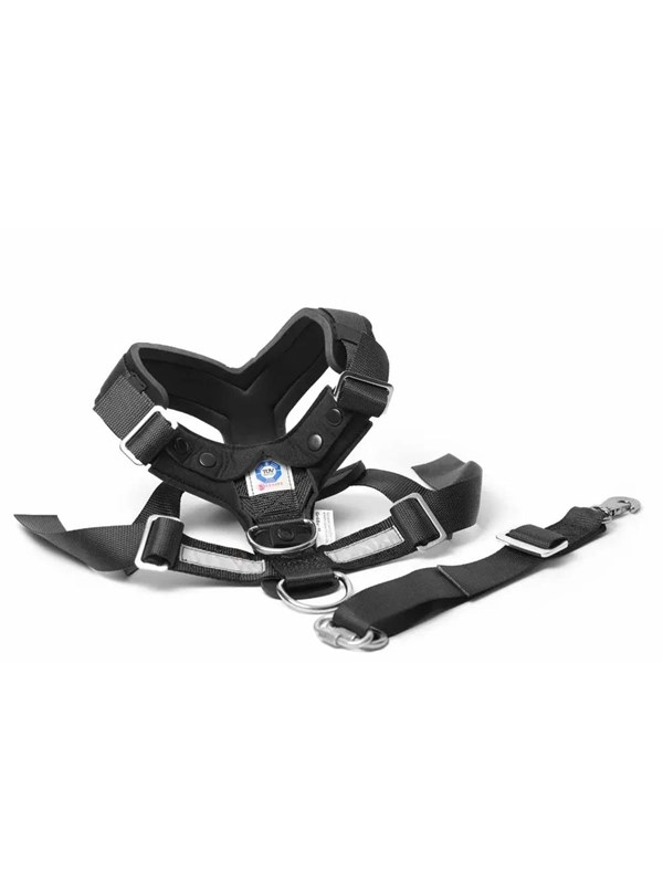 Mimsafe - Allsafe Large 30-55kg Car harness - crash-te
