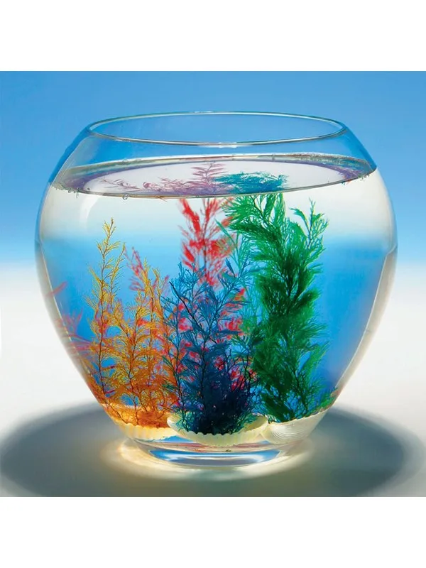 Goki Magic Shell 1pc.