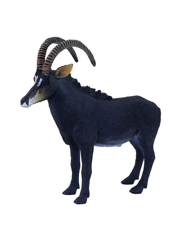 Mojo - Wildlife Sable Antelope
