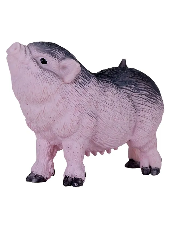 Mojo - Farmland Pot-bellied Piglet