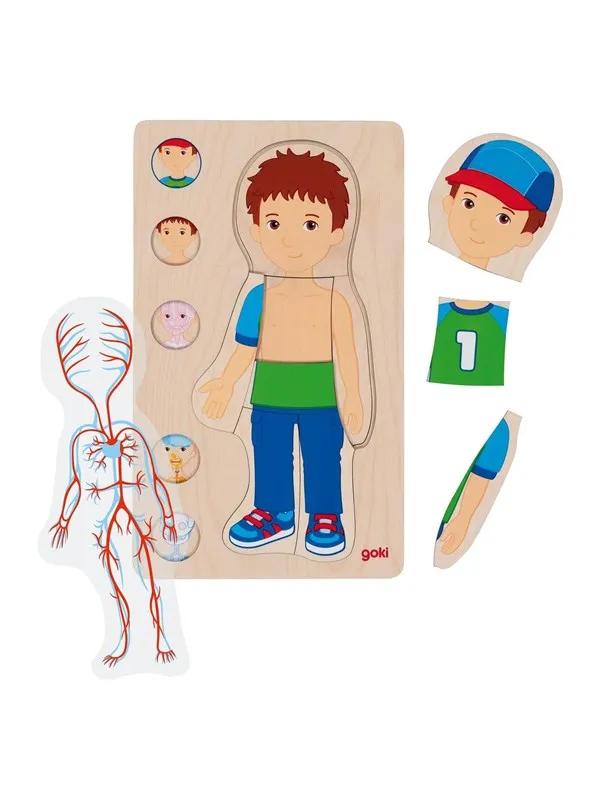 Goki Wooden Layer Puzzle Human Body Boy 29 pcs.