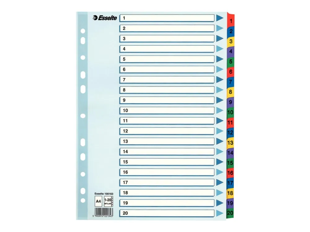 Esselte Register  Mylar A4 1-20 Flerfarg