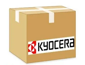 Kyocera WT-5191