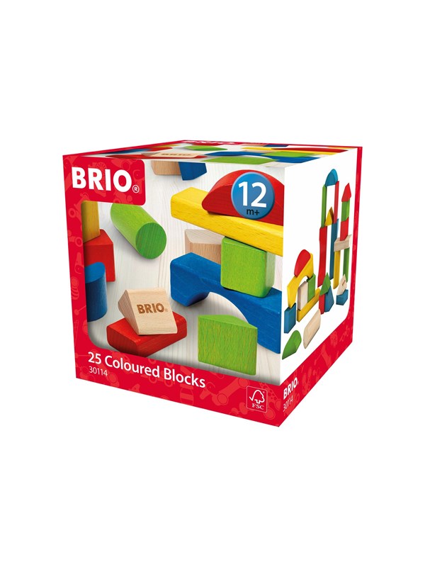 Brio 25 Coloured Blocks