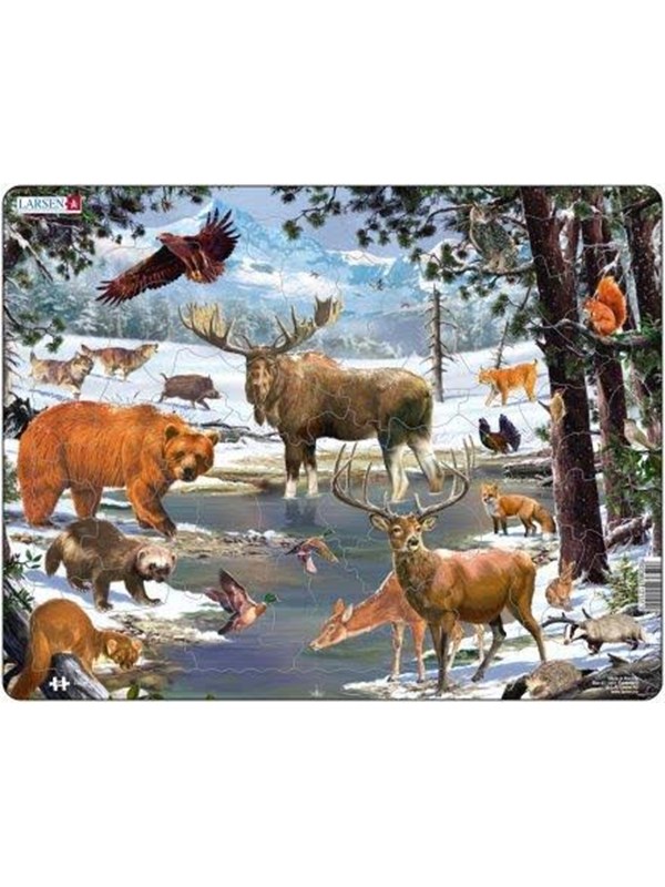 Larsen Puzzles North Forrest (54)