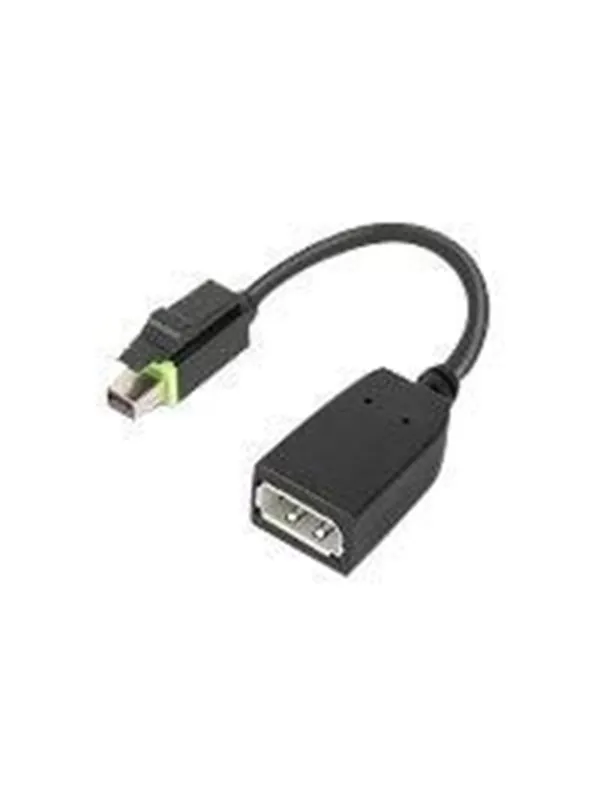 Lenovo DisplayPort adapter