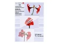 Olympia - laminated tape - 100 pcs. - A6