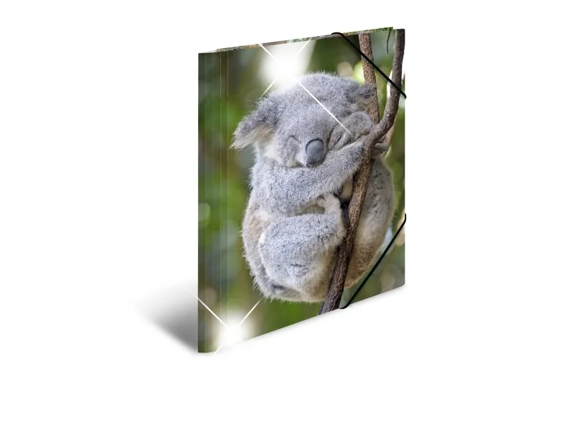 HERMA Sammelmappe A4 Glossy Koala Polypropylen