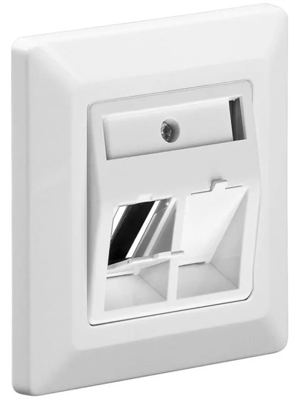 Pro Faceplate to mount keystone jacks