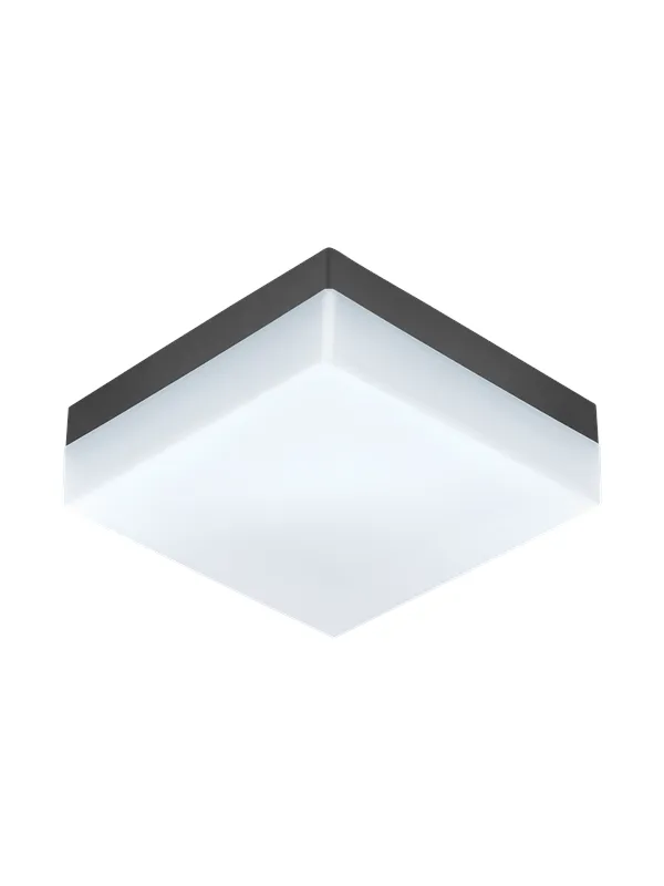 EGLO SONELLA outdoor wall/ceiling lamp anthracite/white
