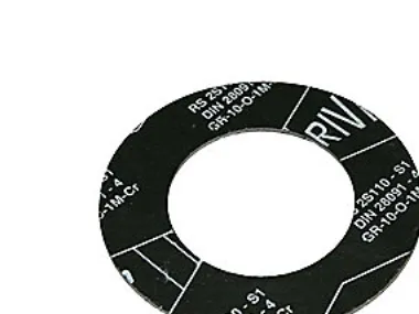 Steffca Flange gasket graphite laminate dn250