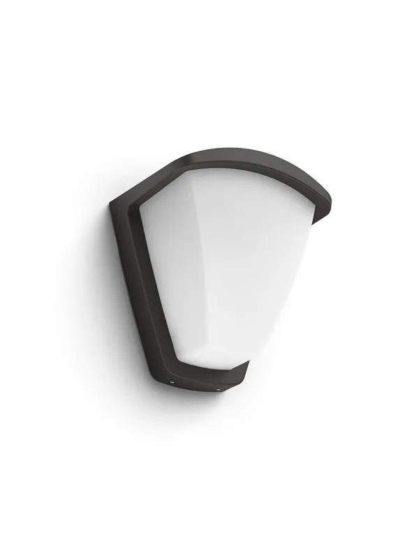 Philips Kiskadee wall lantern anthracite 1x42W
