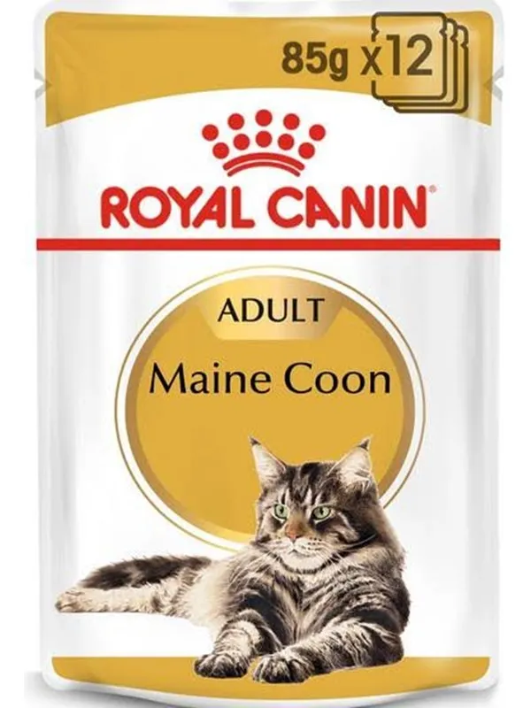 Royal Canin 9003579001202 cats moist food