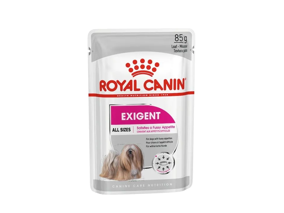 Royal Canin Exigent Wet dog food Pâté 12x85 g
