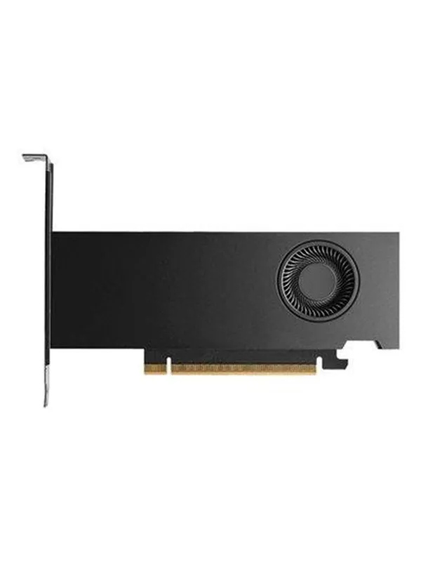 Dell RTX PRO 2000 Blackwell Workstation Edition - 16GB GDDR7 RAM - Grafikkort