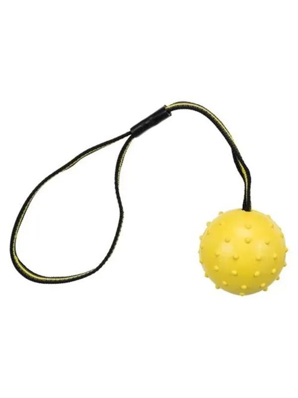 Trixie Ball on a Strap ø 6 cm/35 cm assorted colours