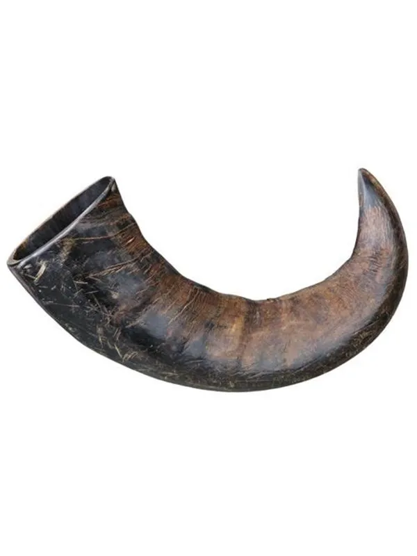 Trixie Buffalo Chewing Horn packaged large