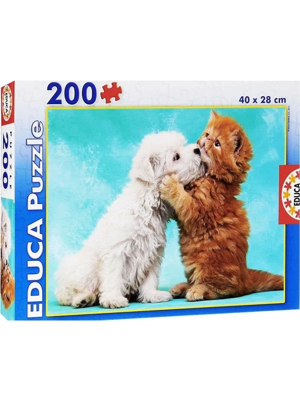 Educa 300 Klassebilde