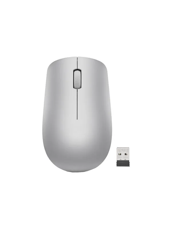 Lenovo 530 Wireless Mouse - mouse - 2.4 GHz - platinum grey - Mus - Optisk - 3 knapper - Grå