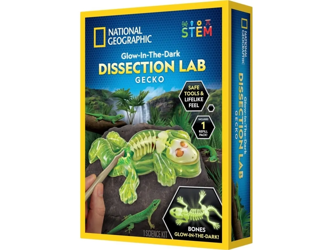 National Geographic Gecko Dissection Lab
