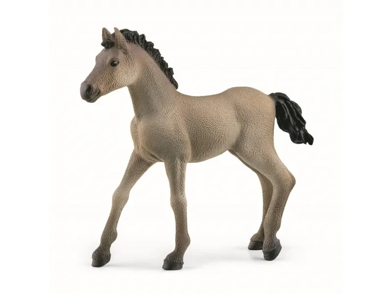 Schleich Criollo Føll