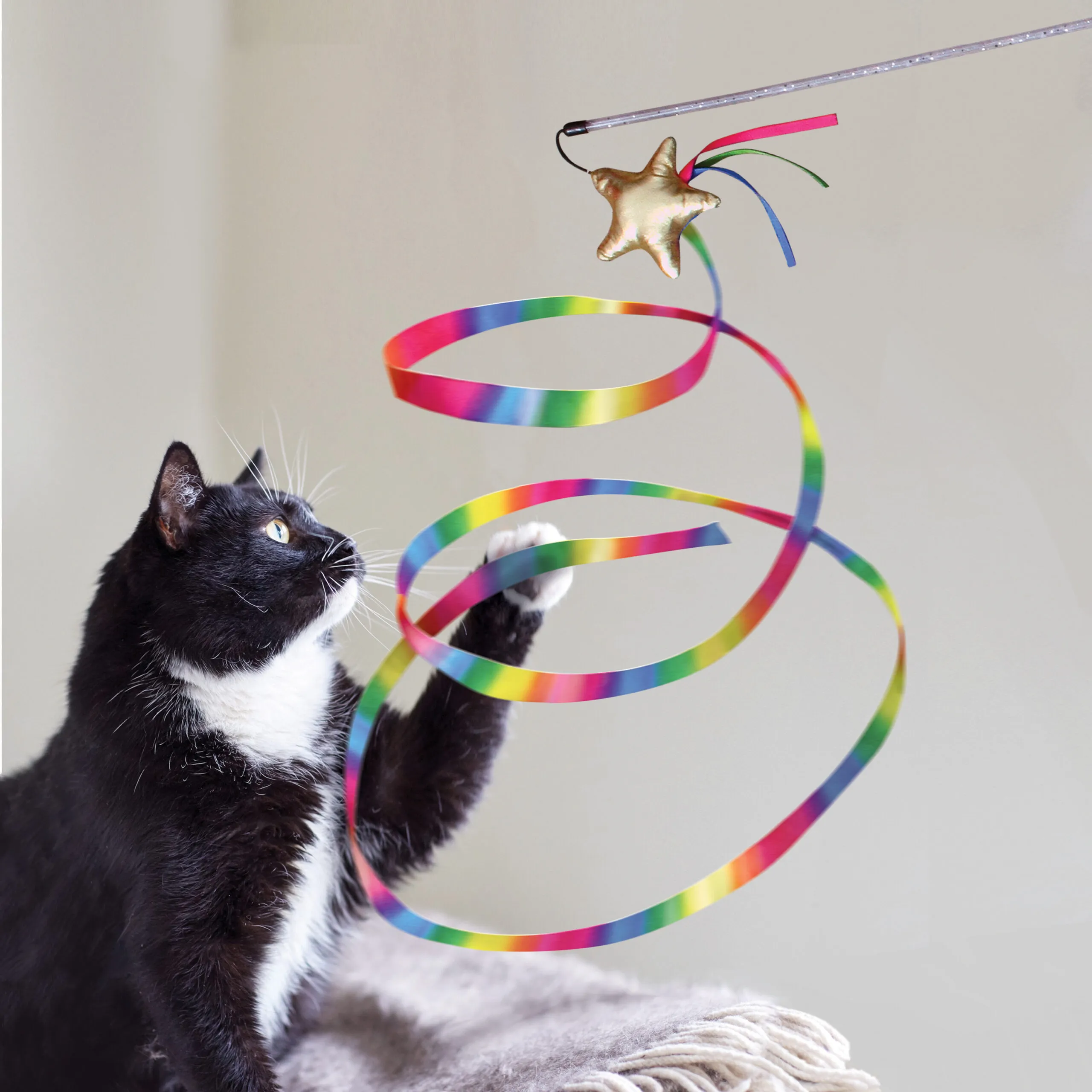 KONG Kong Cat Stellar teaser