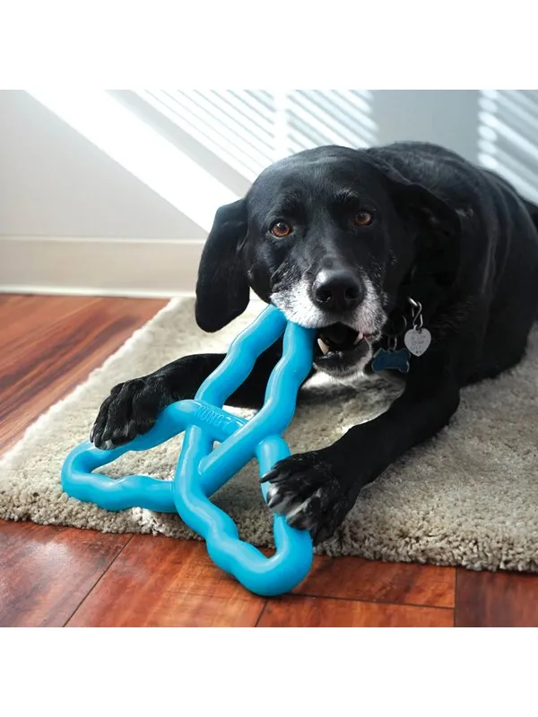 KONG Dog Toy Flyangle Assorted Colors Large