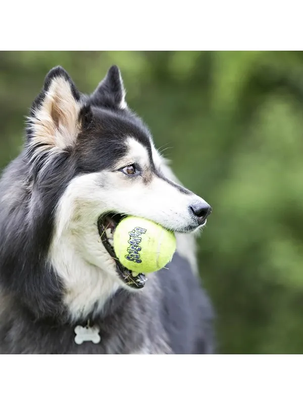 KONG Hundeleke SqueakAir Ball XLarge 10cm