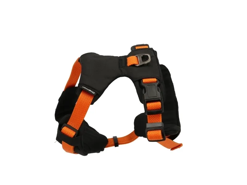 Dogman Sportsele Emmi orange XL
