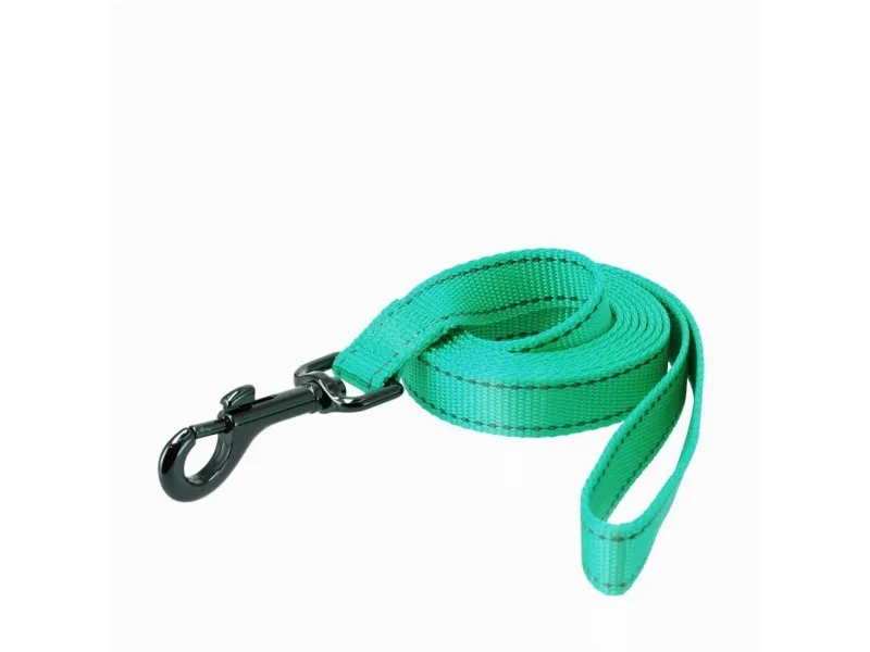 Dogman Reflective Nylon Dog Leash Iris Turquoise S 15mm 180cm