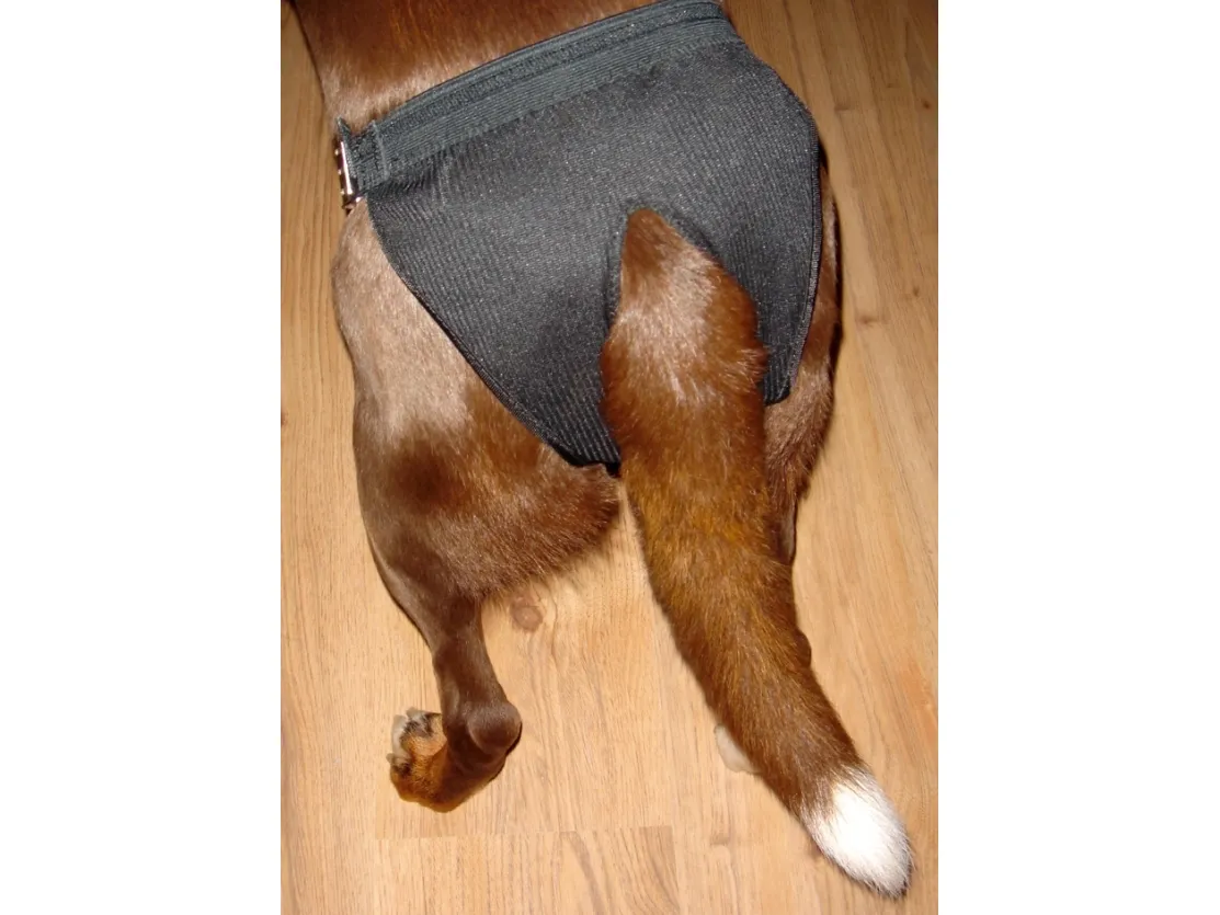 Dogman Adjustable Female Dog Diaper M 37-46cm