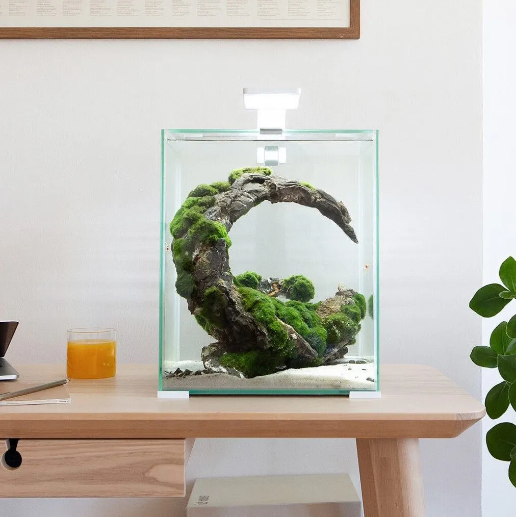 AQUAEL  Aquarium 19L White