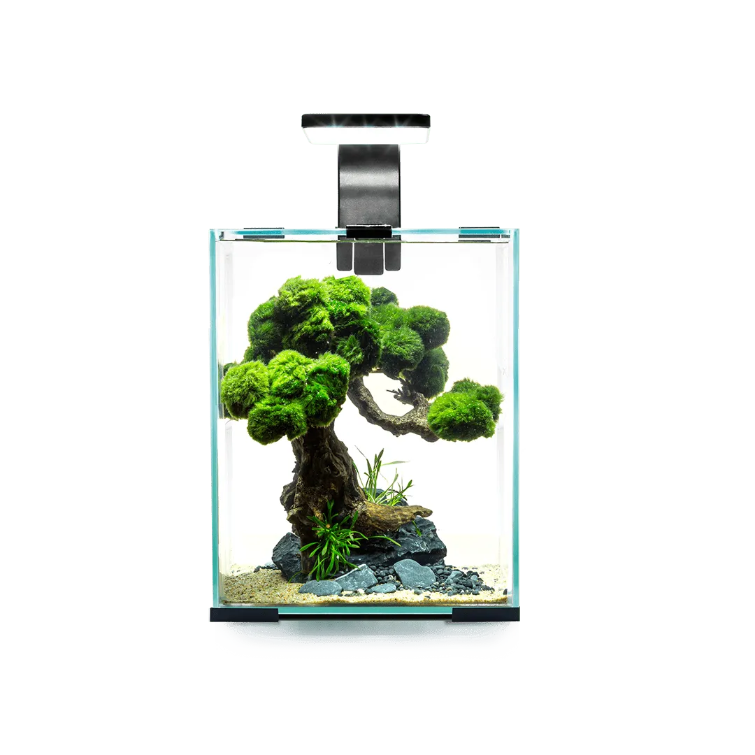 AQUAEL  Aquarium 19L Black