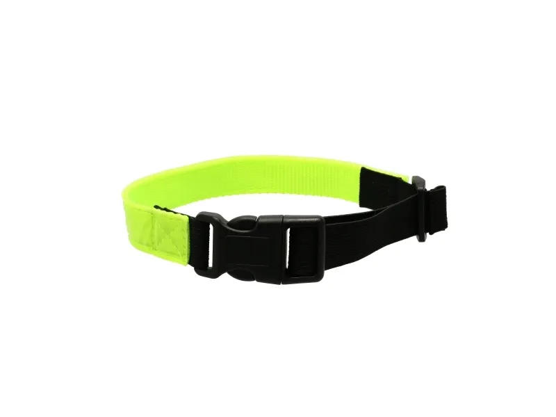 Dogman 260700 dog/cat collar