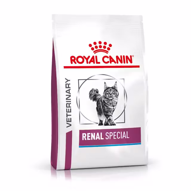 Royal Canin Renal Special Dry Food for Cats 400g