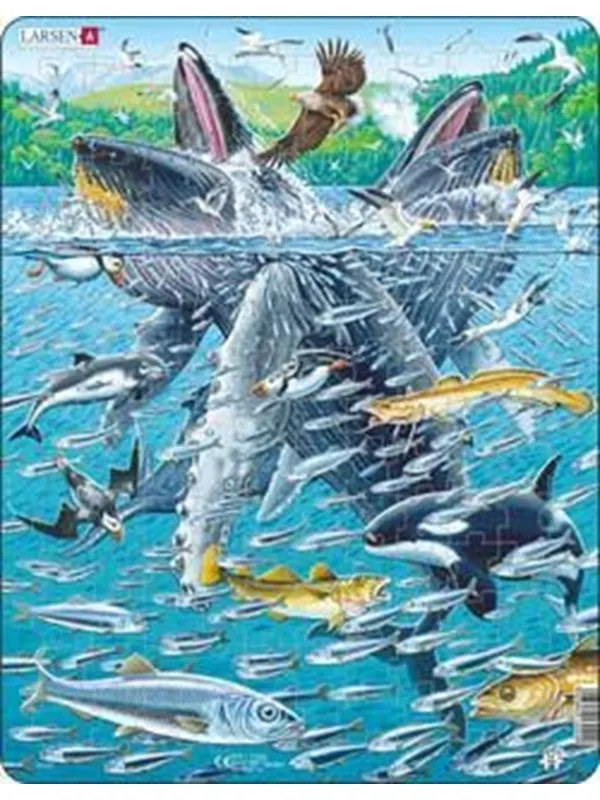 Larsen Puzzles Puzzle Humpback Whale - 140 pieces Maxi (36.5x28.5cm) Gulv