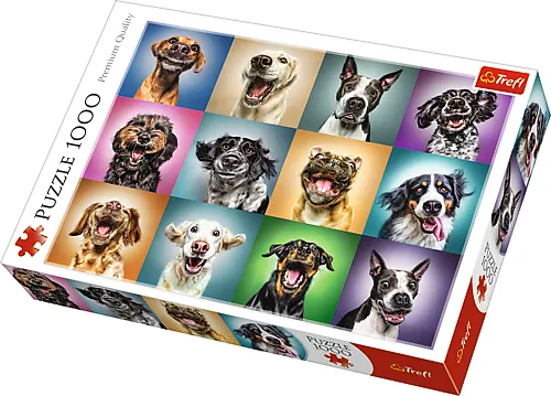 Trefl Puzzle - Funny dog portraits (1000 pieces) Gulv
