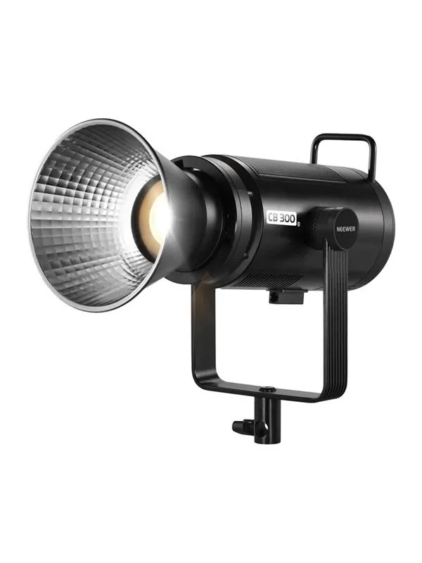 Neewer CB300B BiColor LED Light