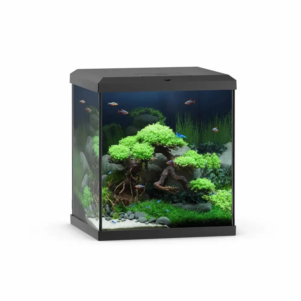 Juwel Vio Cube akvarium 54L - 41x36x47cm - Sort