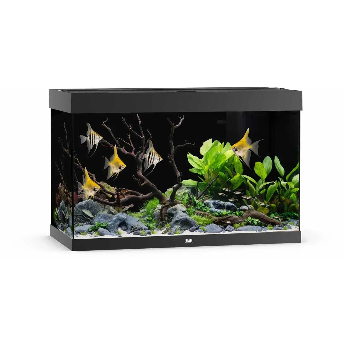 Juwel Rio 290 LED akvarium 101x51x66cm - Svart X