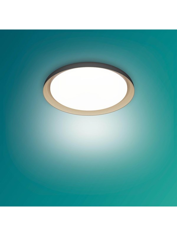 Philips Pebblo UE Ceiling SS B 10W 27K