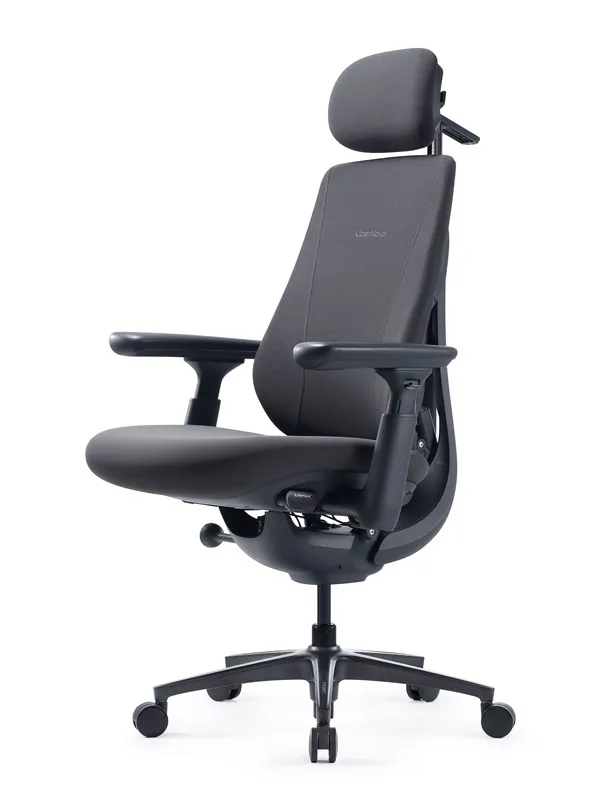 LiberNovo Maxis (Electric) - Graphite - BOX A (1/2