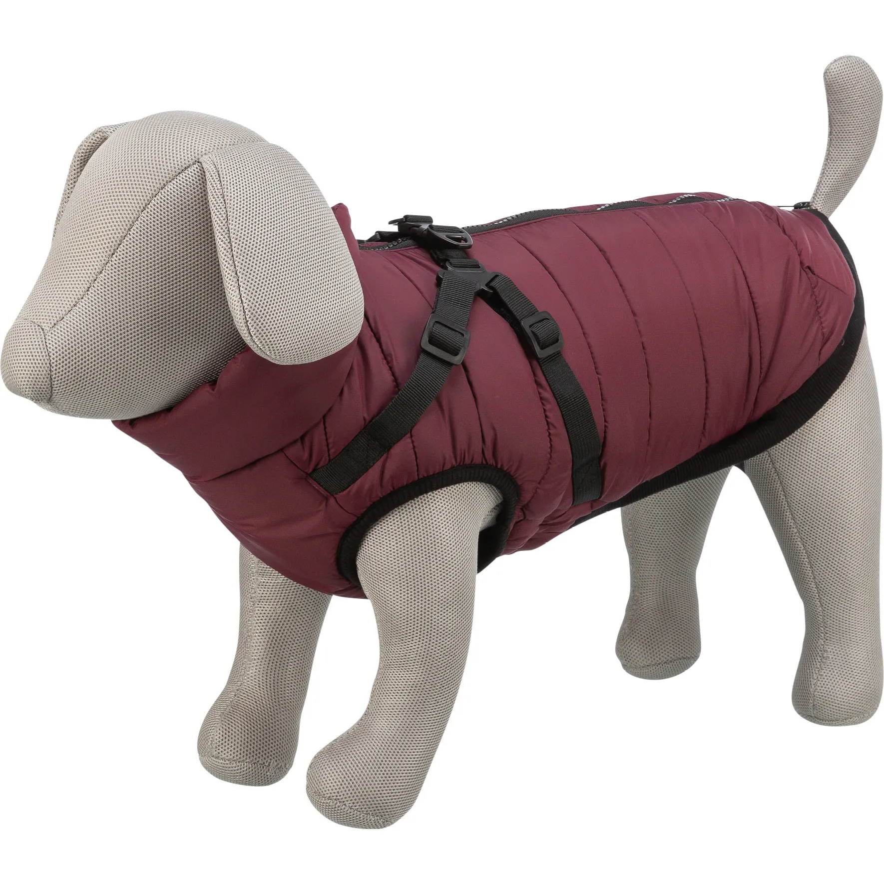 Trixie Pirou vinterjakke med hundesele - s 40cm - Sangria