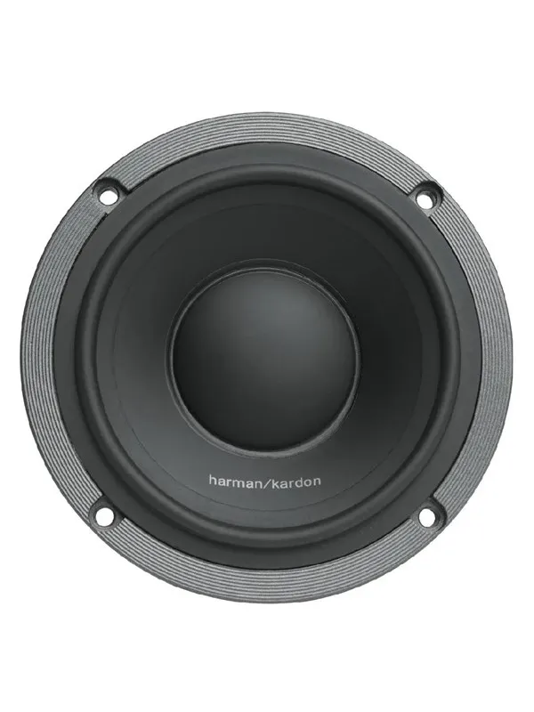 Harman Kardon FLOW 300S