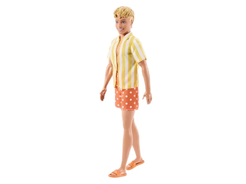Barbie Fashionistas JJN66 doll