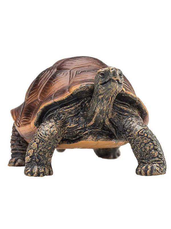 Mojo Wildlife Giant Tortoise